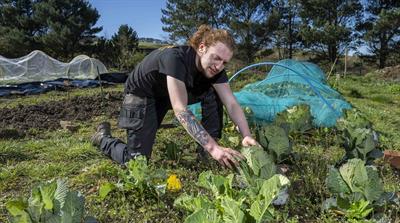 Ben gardening 